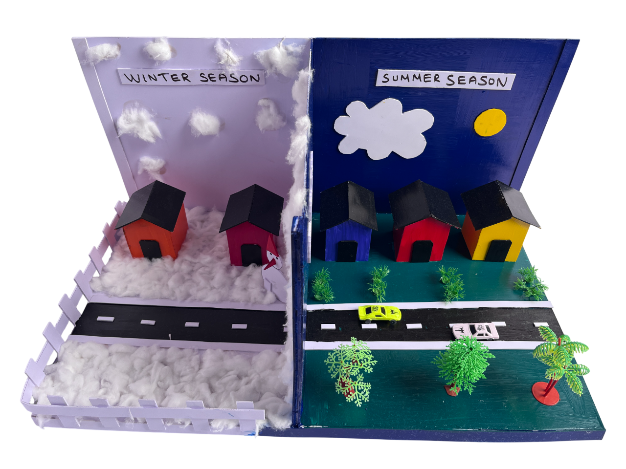 SEASONAL CHANGES SHOWCASE